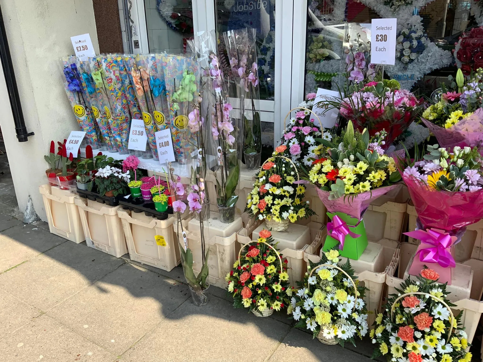 A bunch of flowers are on display outside of a flower shop.